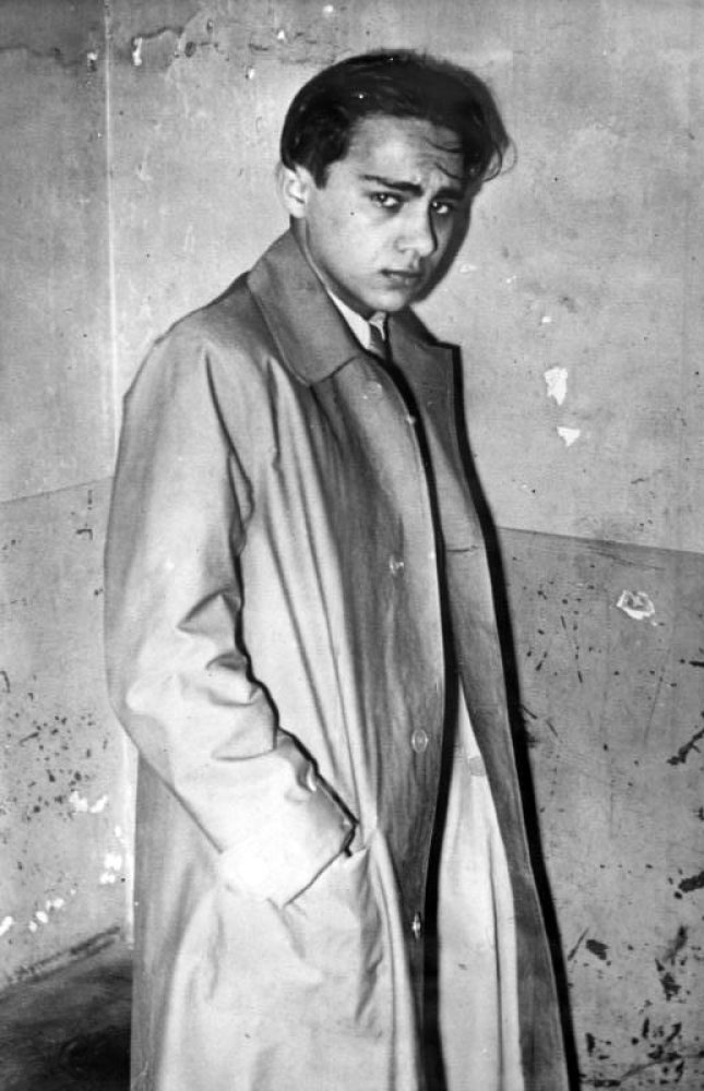 Herschel Grynszpan was a Polish-Jewish expatriate arrested by the authorities in Paris in the winter of 1938. His actions were used by the Nazis to justify the Kristallnacht pogrom. What did Grynszpan do?